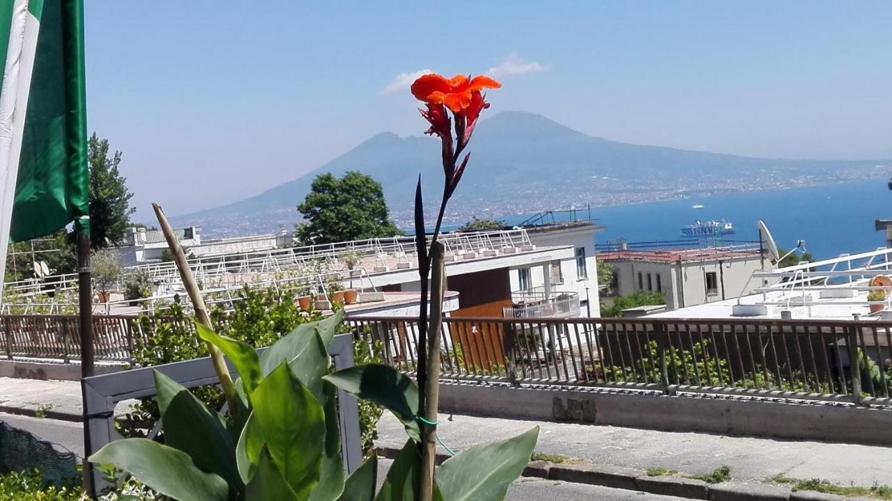 Monocamera Con Terrazzogiardino -Studette -Zona Panoramica Posillipo ナポリ エクステリア 写真